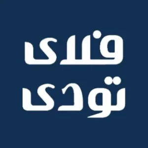 فلای تودی